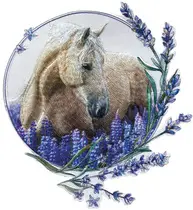 Miniature 10