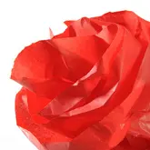 CANSON Papier de soie, 0,5 x 5,0 m, 20 g/m2, rouge vif