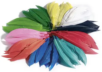 folia Plumes d'indiens, 100 g, assorti