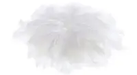folia Plumes soyeuses, 100 g, assorti