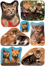 HERMA Autocollants DECOR "Photos de chats