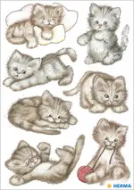 Miniature 2