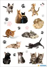 HERMA Stickers DECOR Joyeux chatons, papier