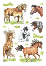 HERMA Sticker DECOR "Dessins de chevaux