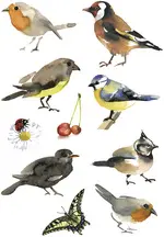 HERMA Sticker DECOR "Oiseaux à l'aquarelle