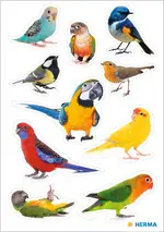HERMA Sticker DECOR "Oiseaux", en papier