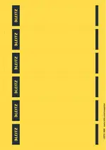 LEITZ Etiquette pour dos de classeur, 39 x 192 mm, jaune