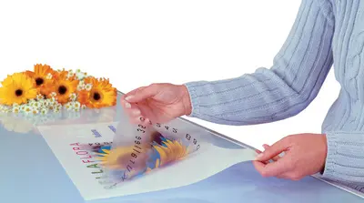 Miniature 1