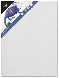kangaro Châssis entoilé 3D, (L)500 x (P)37 x (H)600mm, blanc