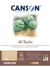 CANSON Papier beaux-arts Mi-Teintes, en bloc, 320 x 410 mm