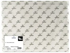 CANSON Papier à dessin "The WALL", 700 x 1.000 mm, 200 g/m2