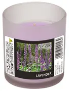 FLAVOUR by Gala Bougie parfumée, "Lavender