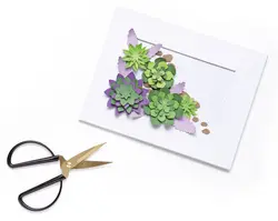 Miniature 4