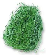 folia Herbe de décoration/herbe de Pâques, 30 g, vert