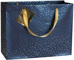 Clairefontaine Sachet cadeau de Noël "Nuit bleutée",shopping