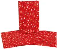 CACTUS Pochette cadeau de Noël "Étoiles", (L)100 x (H)160 mm