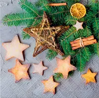 CACTUS Serviette à motif de Noël "Étoiles
