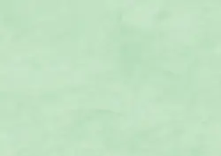 Clairefontaine Papier cadeau "kraft", vert bourgeon
