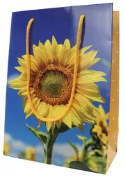 SUSY CARD Sac cadeau "Sunflower Smile