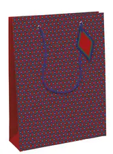 Clairefontaine Sac cadeau "Géométrique", large