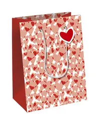 Clairefontaine Sac cadeau "Amore", moyen