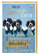 SUSY CARD Geburtstagskarte Humor "Mischlingshunde