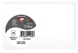 Pollen by Clairefontaine Carte 82 x 128 mm, blanc