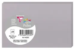 Pollen by Clairefontaine Carte 82 x 128 mm, gris koala