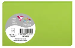 Pollen by Clairefontaine Carte 82 x 128 mm, vert menthe