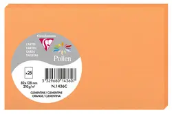Pollen by Clairefontaine Carte 82 x 128 mm, clémentine