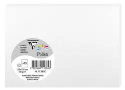 Pollen by Clairefontaine Carte C6, blanc irisé