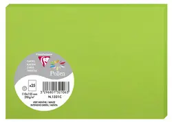 Pollen by Clairefontaine Carte C6, vert menthe