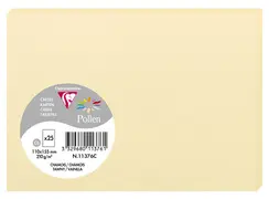 Pollen by Clairefontaine Carte C6, chamois