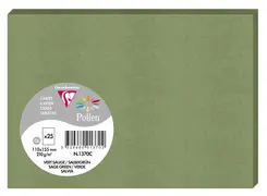 Pollen by Clairefontaine Carte C6, vert sauge