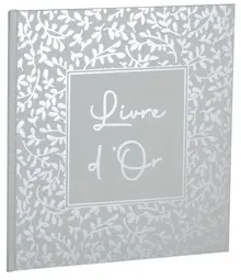 EXACOMPTA Livre d'Or AutentiK, 190 x 210 mm, vert sauge