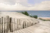 PAPERFLOW Poster mural "Dunes", en plexiglas