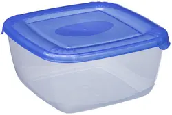 plast team Boîte de congélation Polar, 0,46 litre, bleu