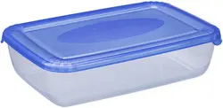 plast team Boîte de congélation Polar, 0,9 litre, bleu