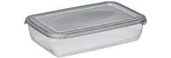plast team Boîte de congélation Polar, 3,0 litres, gris