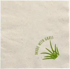 PAPSTAR Serviette de table, 300 x 300 mm, naturel