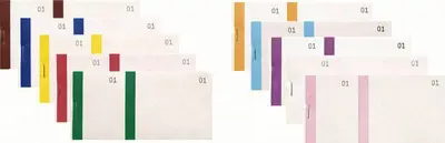 EXACOMPTA Bloc vendeur, 66 x 135 mm, assorti