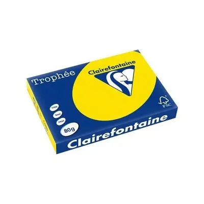 Papier fluo Jaune A4 80g/m² Trophée Clairefontaine carton de 2500 feuilles