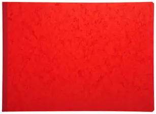EXACOMPTA Piqûre "Recettes/Dépenses des Associations