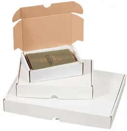 Smartboxpro Carton d'expédition maxi, (L)241x(P)160x(H)48 mm