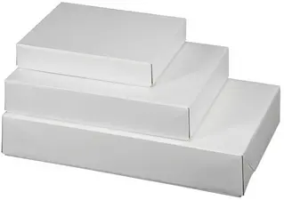 smartboxpro Caisse carton télescopique E-Commerce, grand,