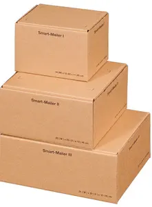 smartboxpro Carton d'expédition "Smart Mailer", petit, brun
