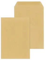 MAILmedia Enveloppe de paie / sachet de paie, C6, lustré