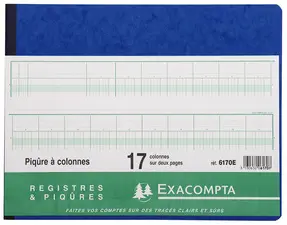 EXACOMPTA Piqûre à colonnes, 20 colones sur 2 pages