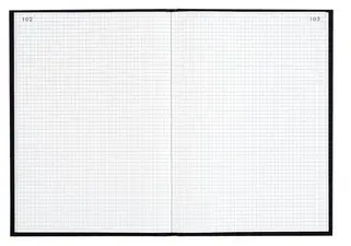 LE DAUPHIN Registre quadrillé 5x5, 340 x 225 mm, noir