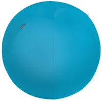 LEITZ Ballon d'assise Ergo Cosy, diamètre: 650 mm, bleu